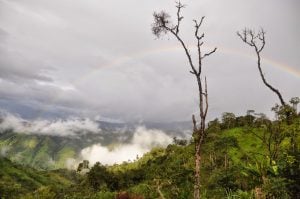 WOOFFing in Ecuador | Two Wandering Soles