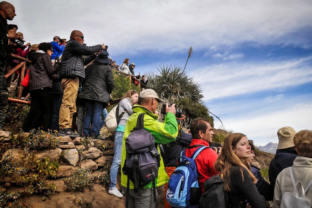 Condor viewpoint at the Colca Canyon