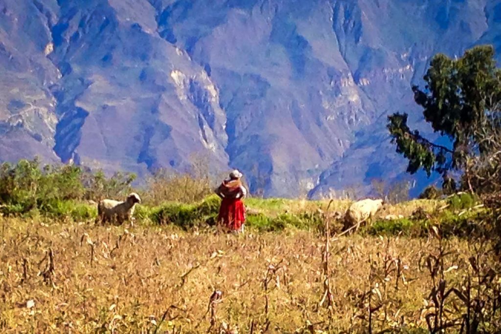 Colca Canyon Peru