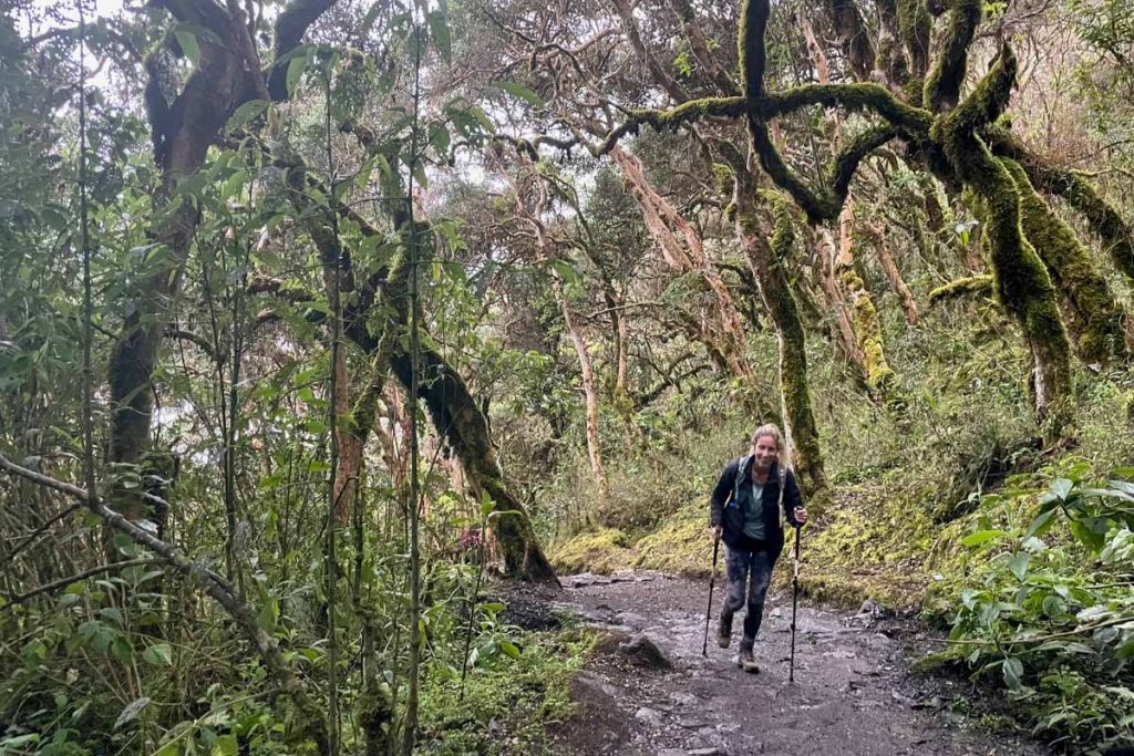 Inca Trail to Machu Picchu Peru