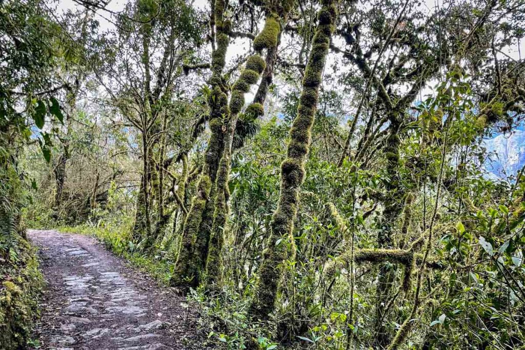 Inca Trail to Machu Picchu Peru