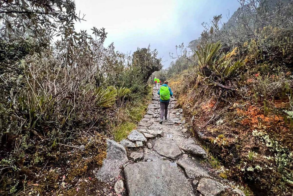 Inca Trail to Machu Picchu Peru