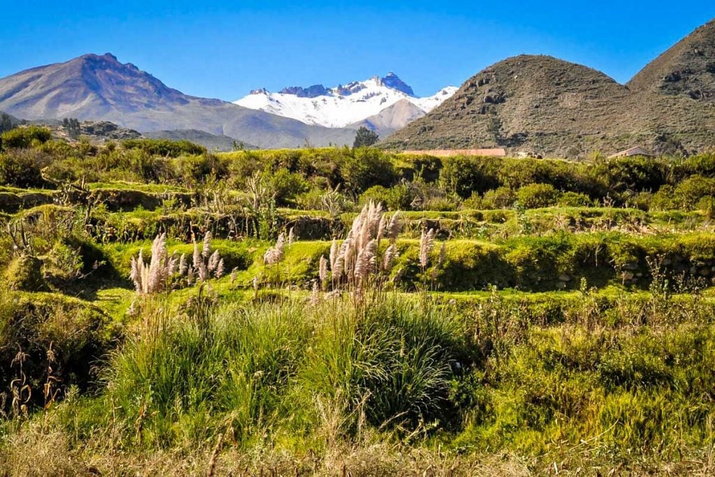 Colca Canyon Peru