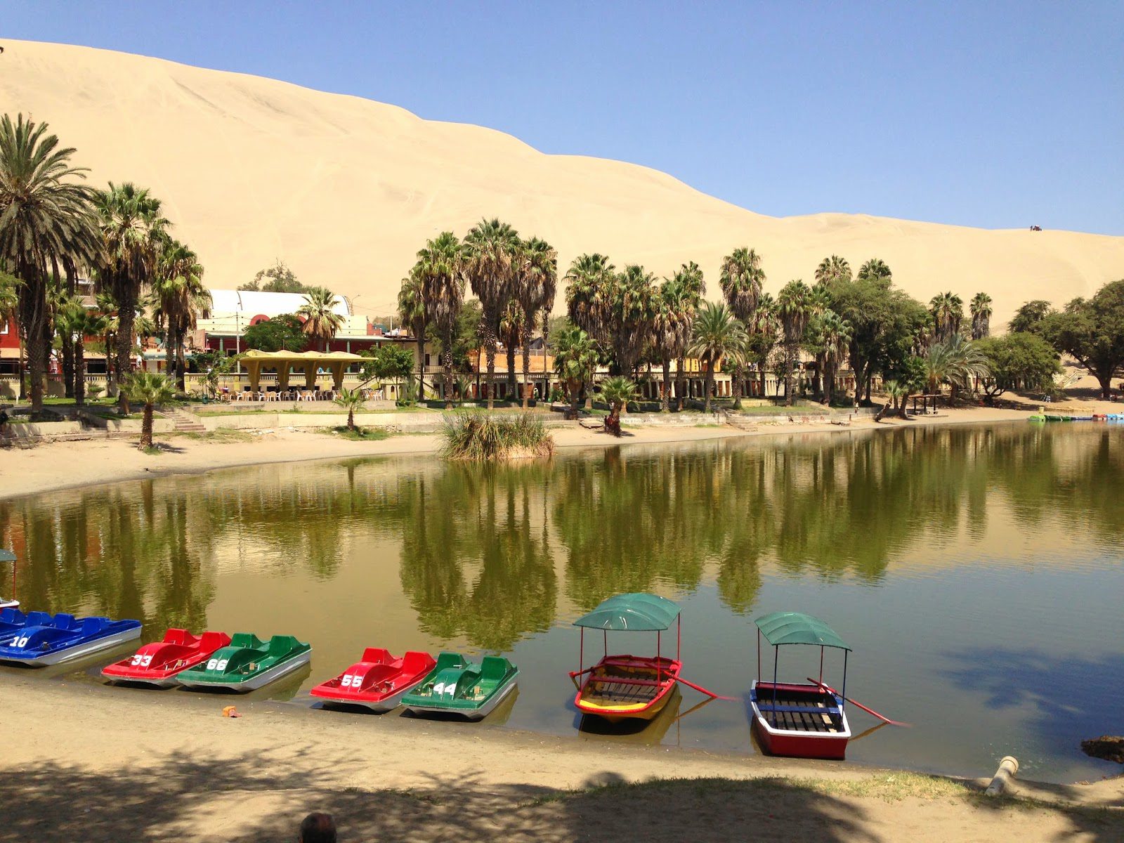 Huacachina Peru, Oasis