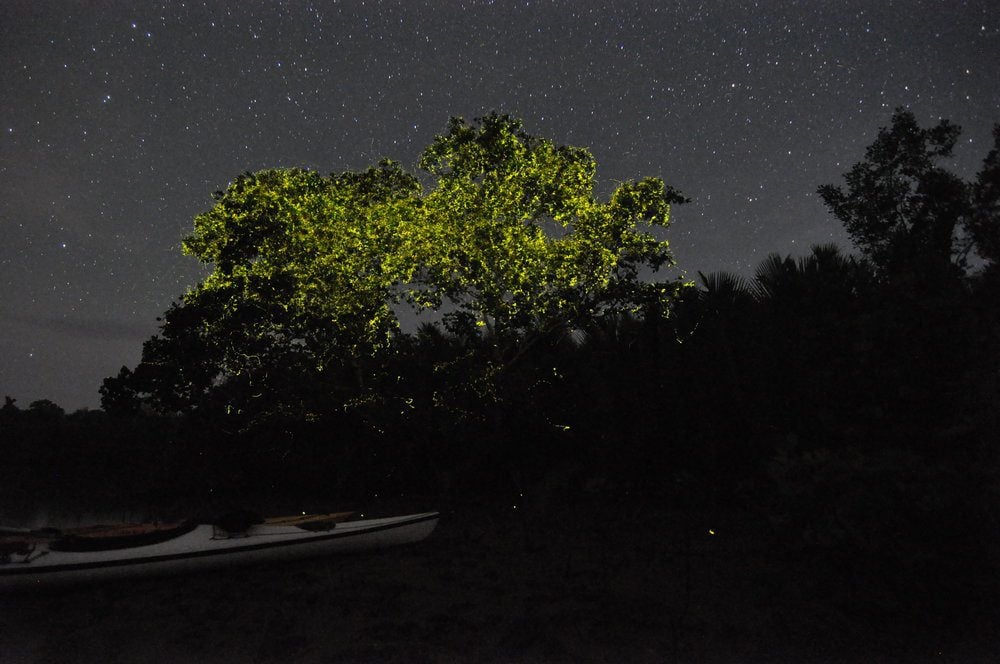 Kayakasia’s Firefly Kayaking Review | Two Wandering Soles