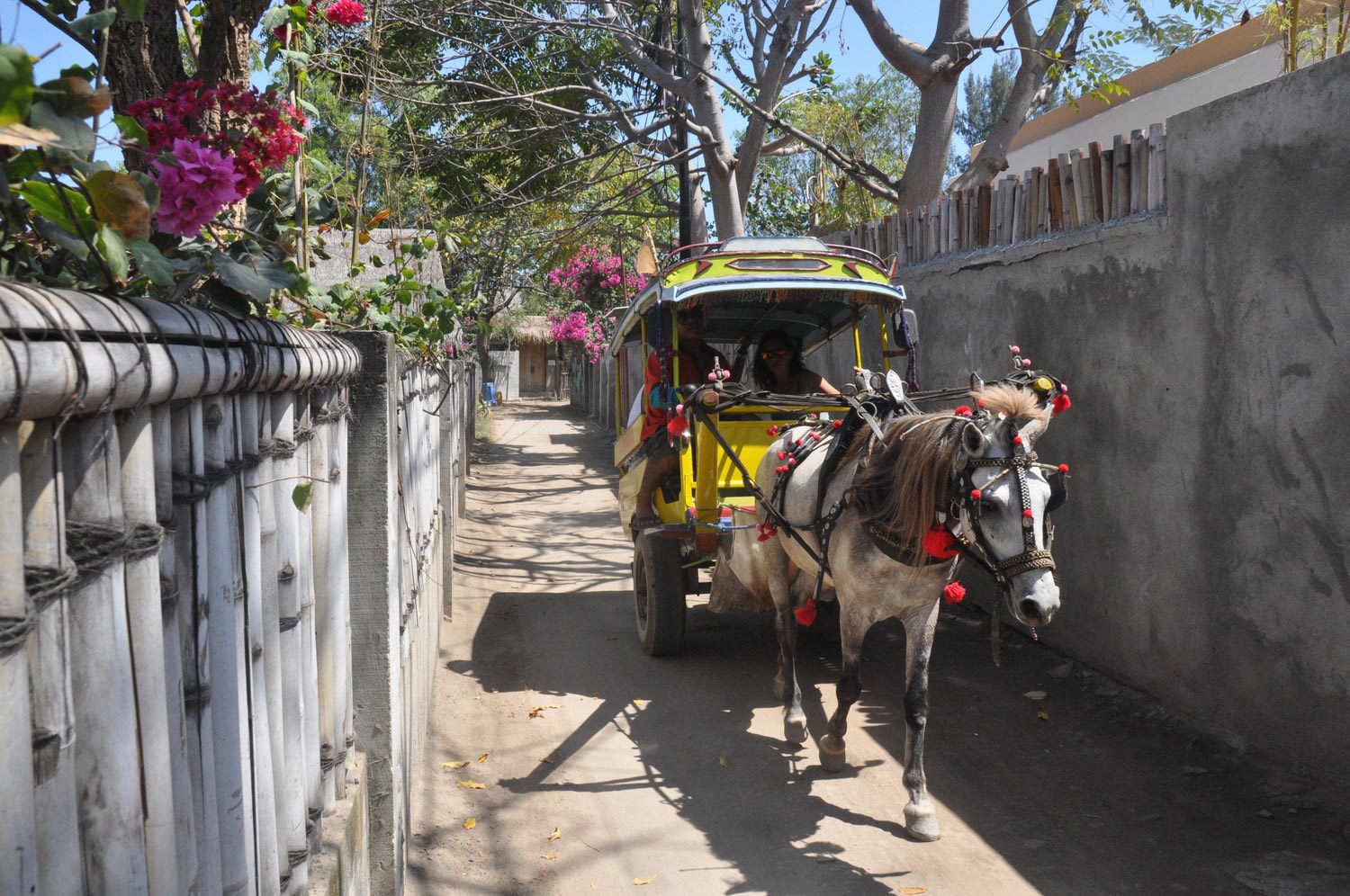 Things to do in Bali Gili Trawangan Horse