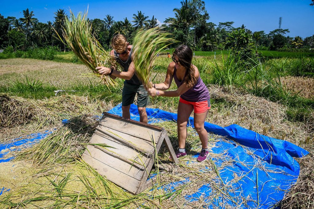 Things to do in Bali Countryside Bike Tour