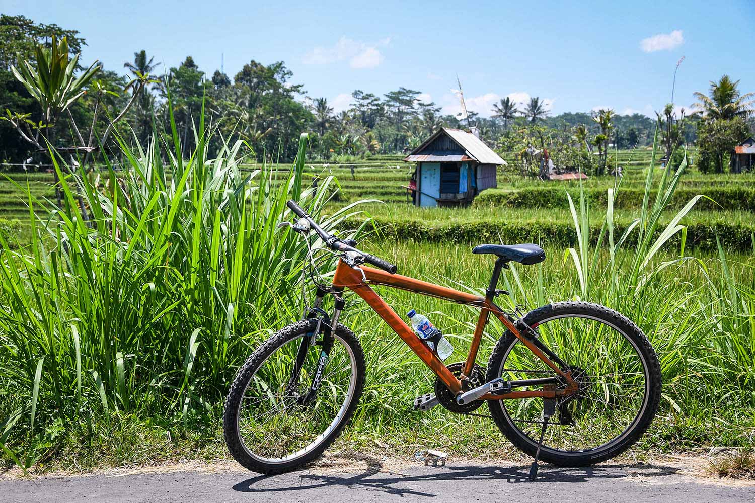 Things to do in Bali Countryside Bike Tour