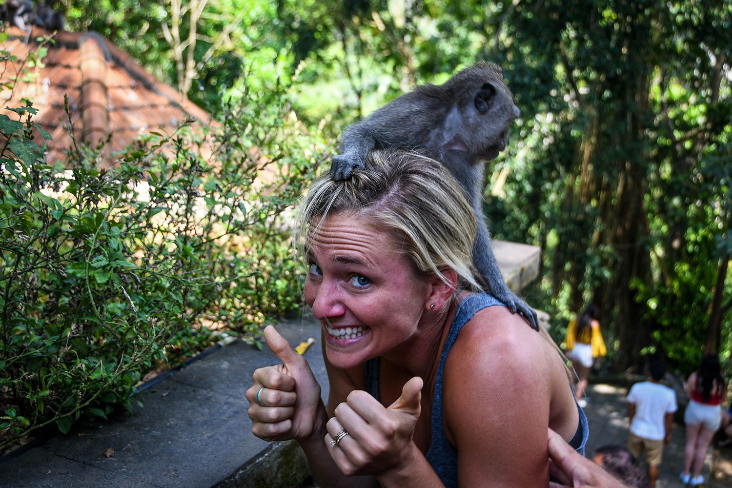 Things to do in Bali Monkey Forest