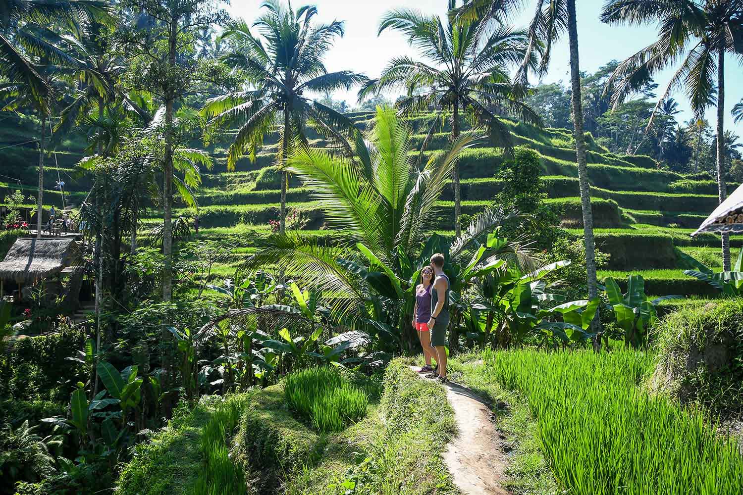 Things to do in Bali Tegalalang Rice Terraces