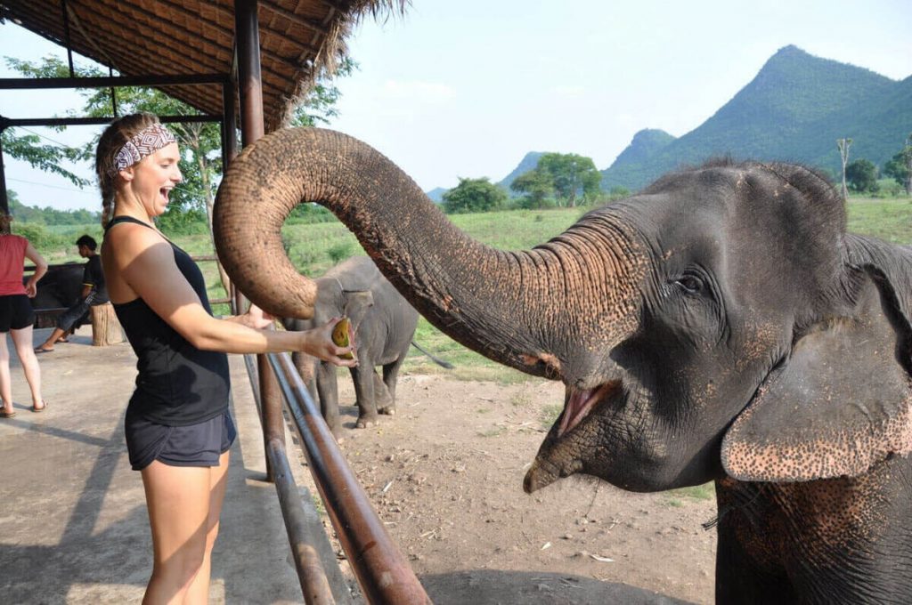 ElephantsWorld Kanchanaburi Bangkok Thailand