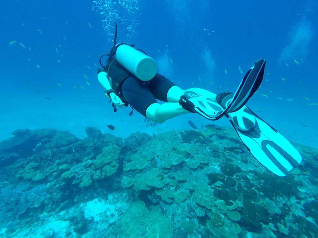 Scuba Diving Koh Tao Thailand