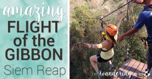 Flight of the Gibbon Angkor: Flying Above the Temples in Siem Reap