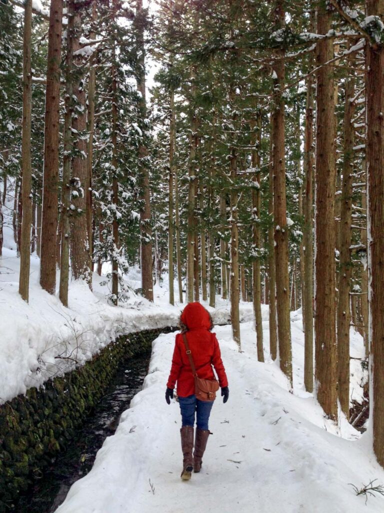 Winter in Japan | Two Wandering Soles