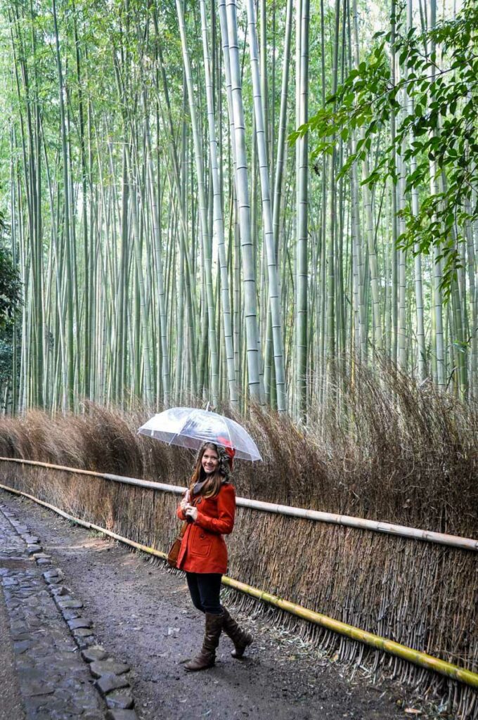 Kyoto bamboo forest Japan