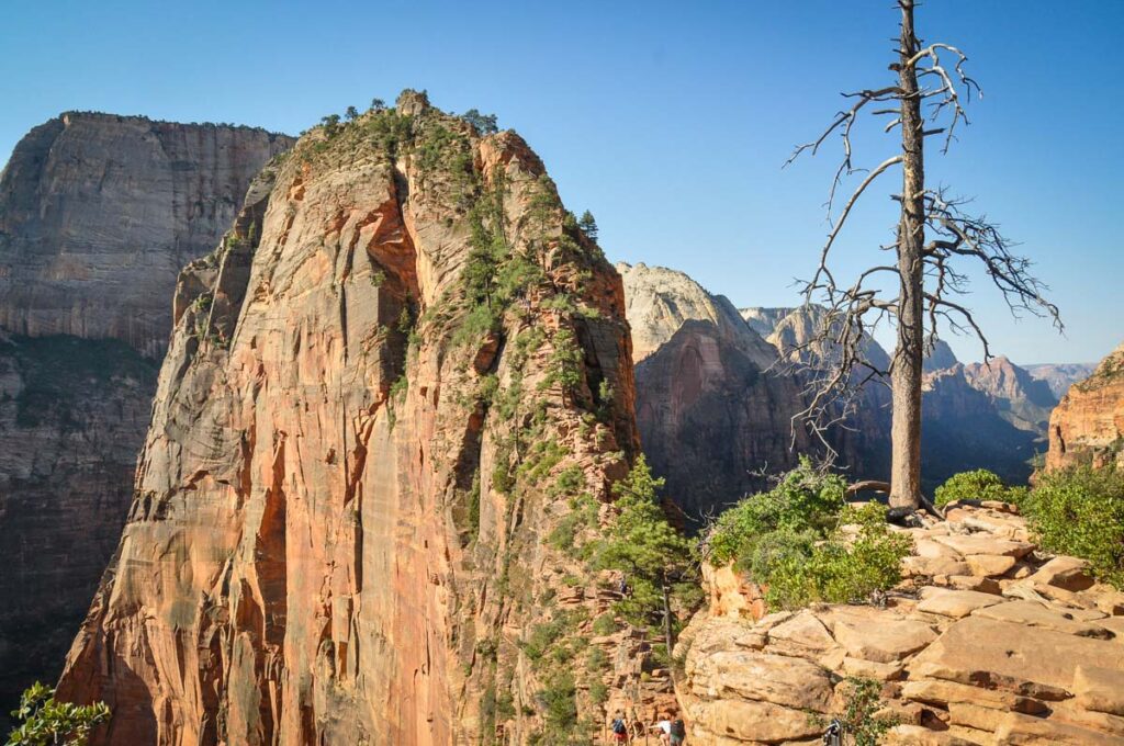 Angels Landing Zion National Park