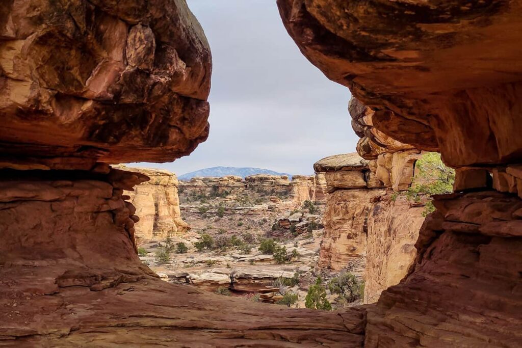 Confluence-Overlook-Trail (Willis Carter)