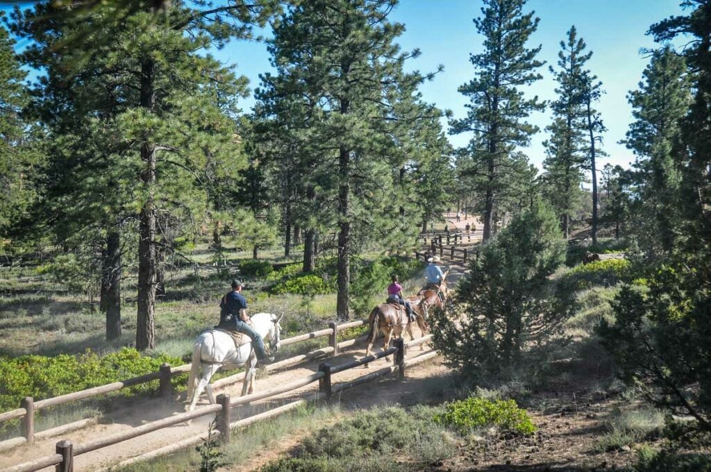 Horseback riding in Bryce Canyon National Park