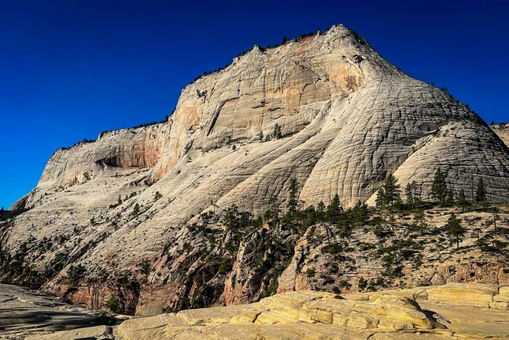 cool places to visit in zion