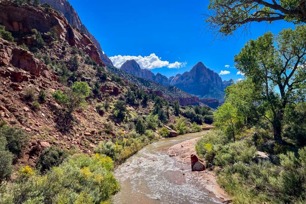 Biking the scenic drive in Zion