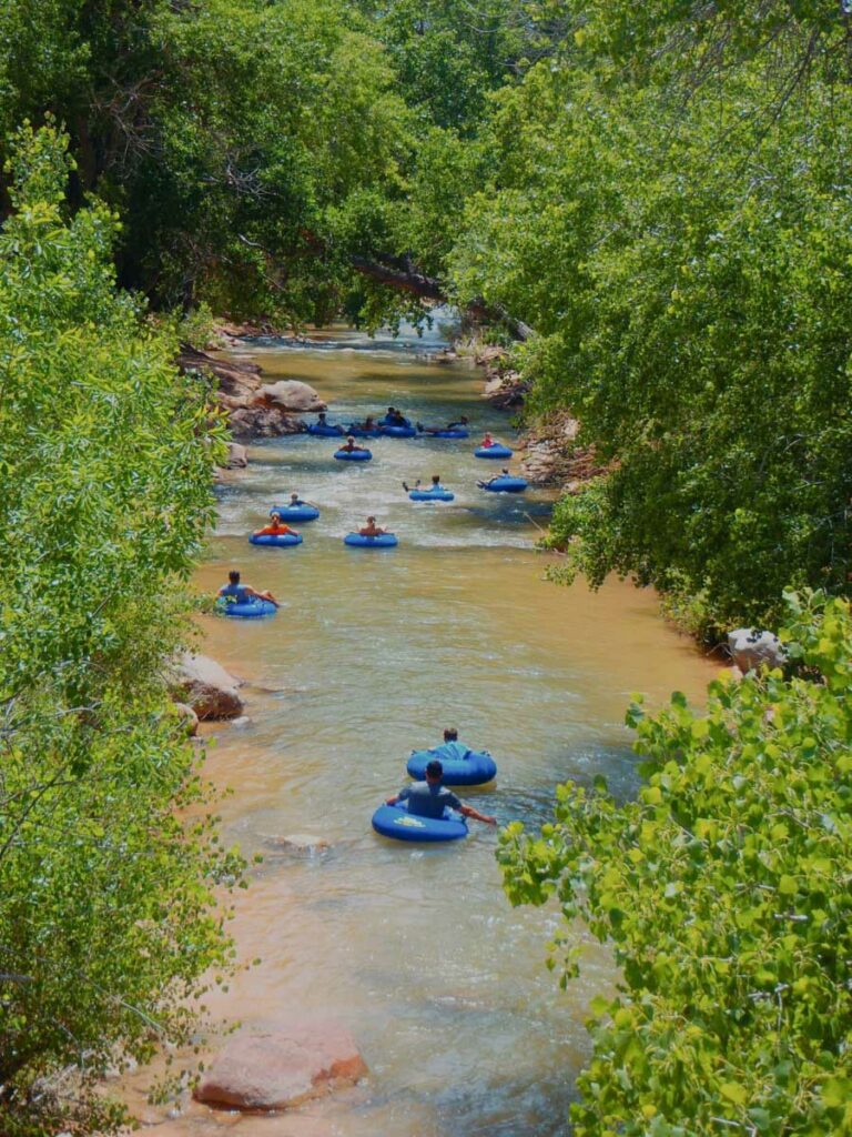 Virgin River float Zion National Park