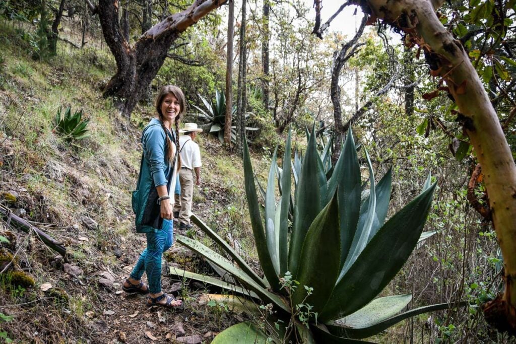 Pueblos Mancomunados Sierra Norte Oaxaca Mexico