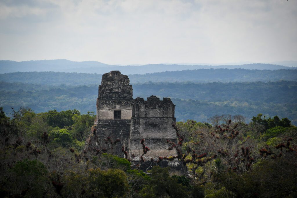 Tikal National Park Guatemala