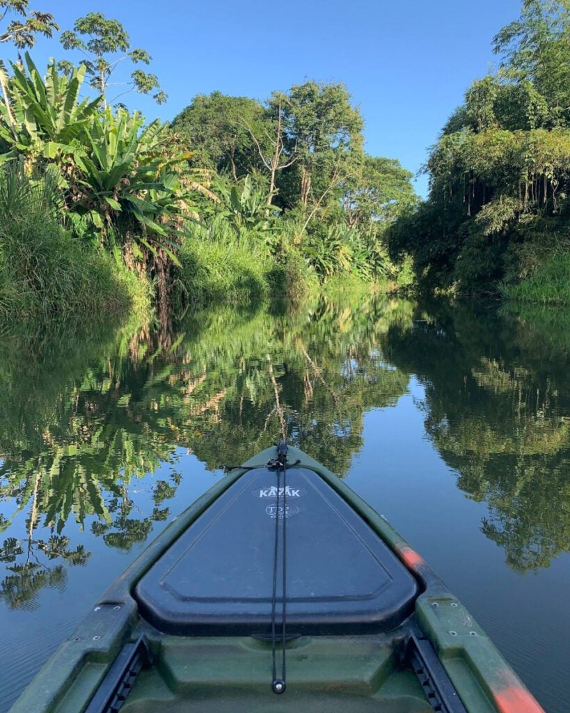 Kayak Nature and wildlife (Airbnb)