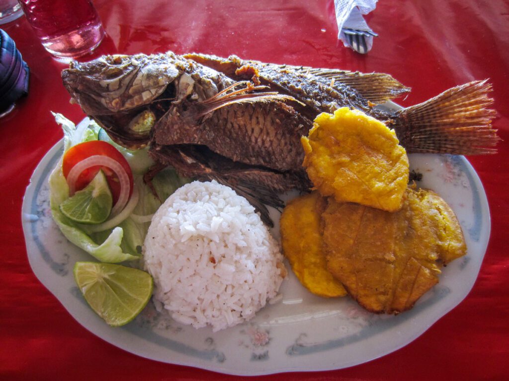 Volcan Totumo Tour Lunch | Colombia Food Fish, rice and platanos