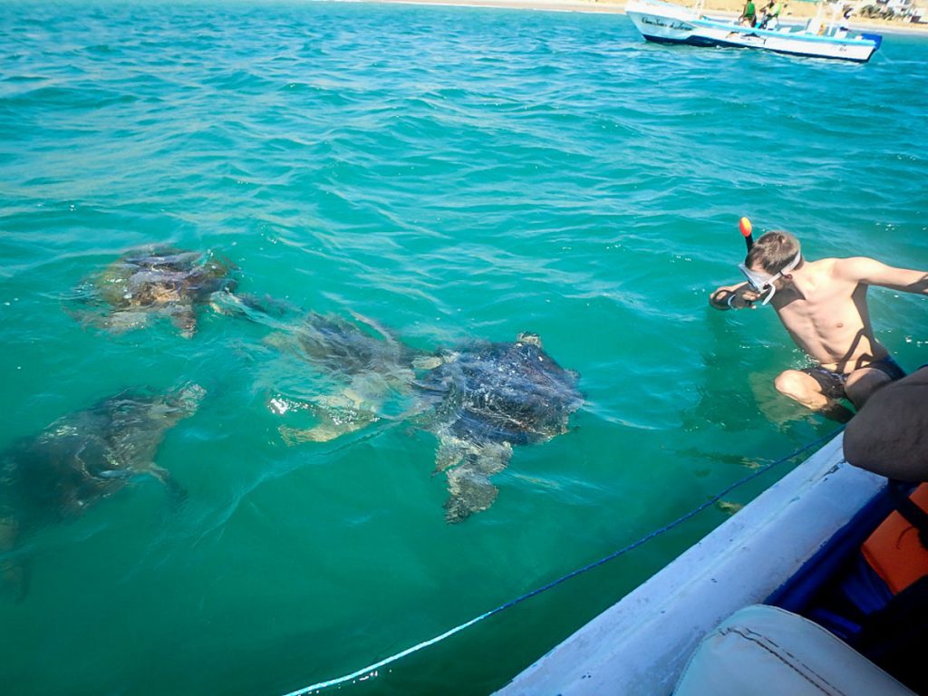 Mancora Peru