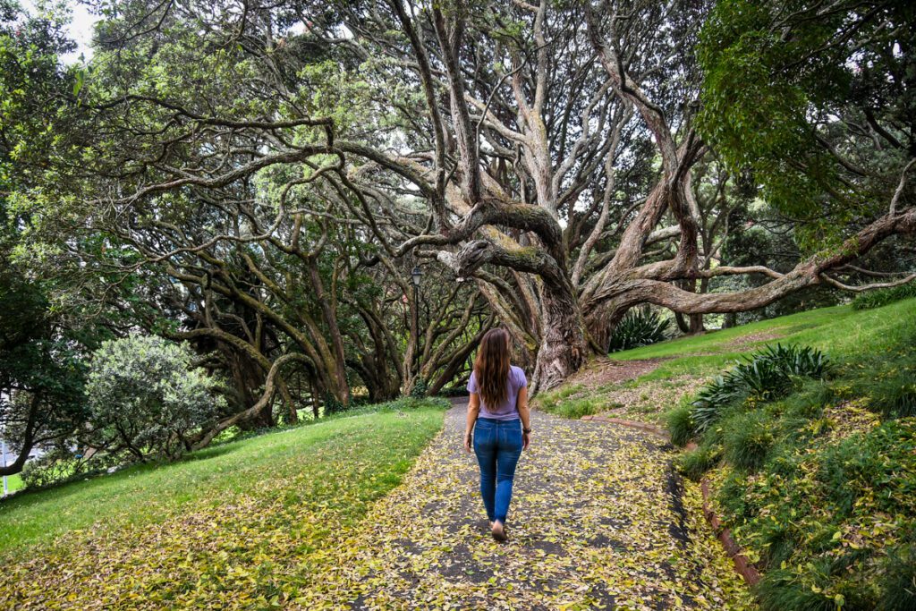 Albert Park in Auckland New Zealand