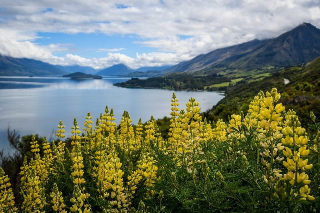 travelling south island nz