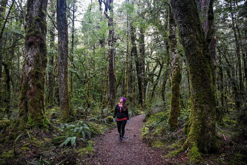 travelling south island nz