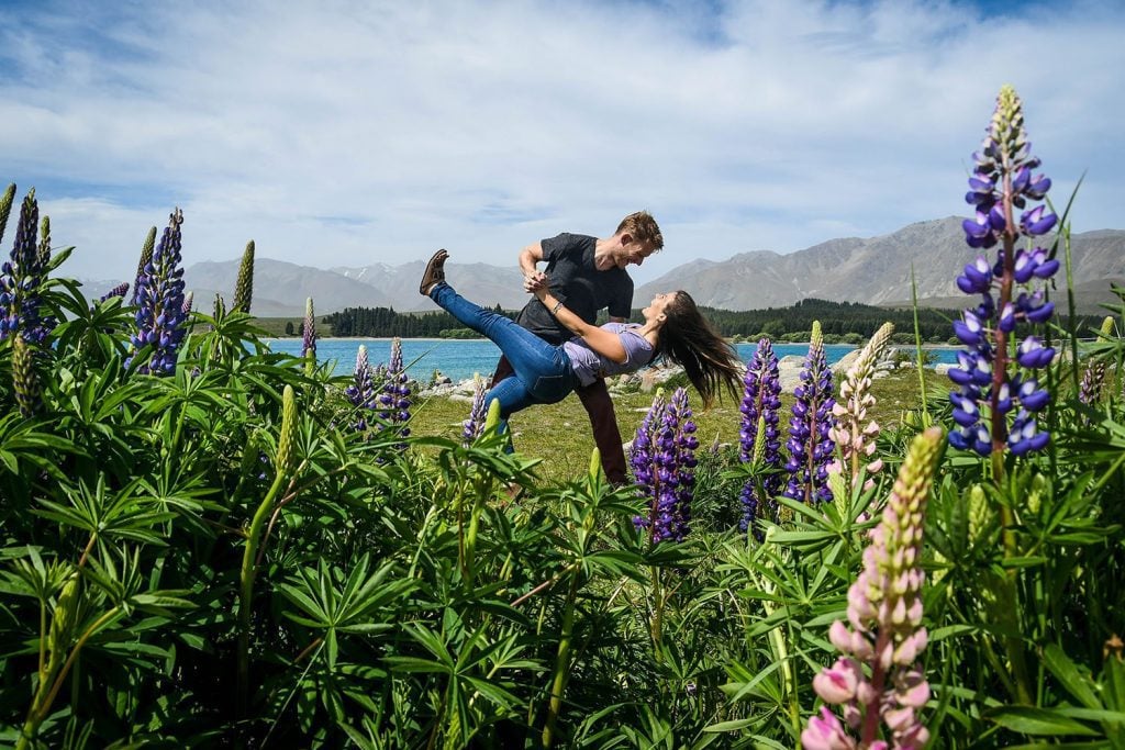 Lake Tekapo Lupines South Island New Zealand