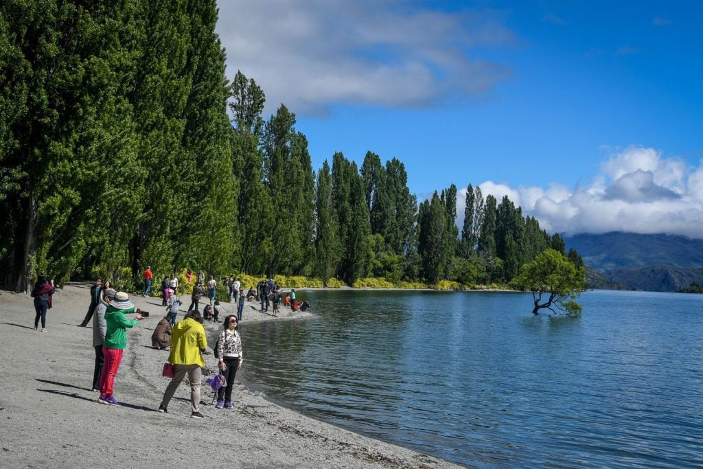 travelling south island nz