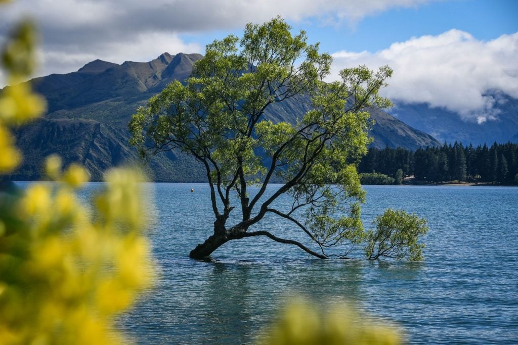 travelling south island nz