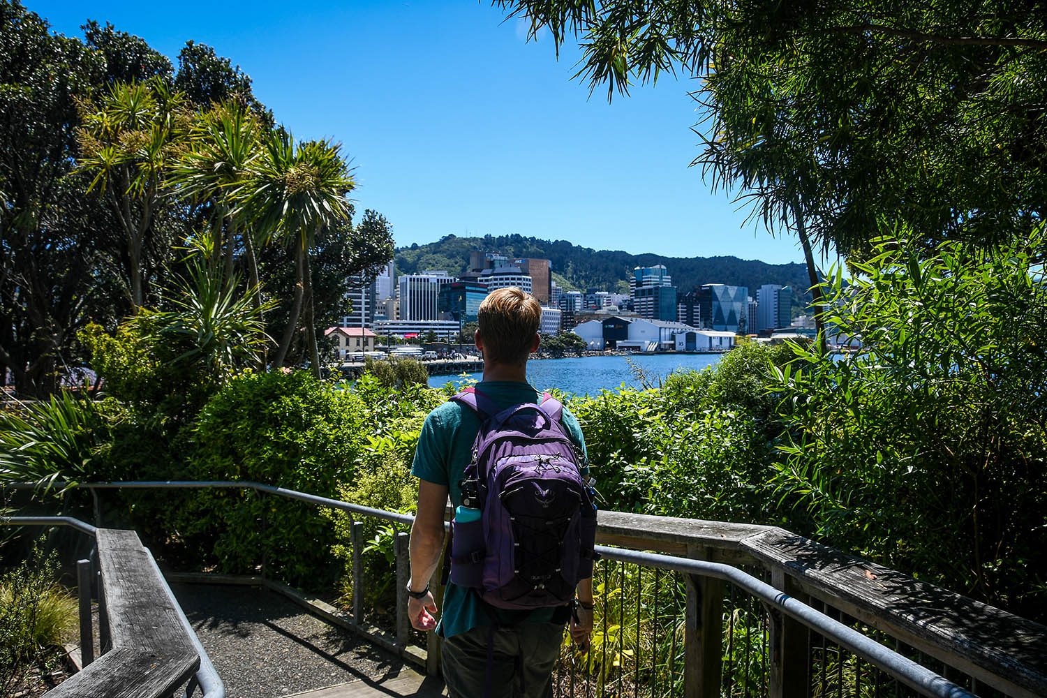 25 Things to Do in Wellington That You Can’t Miss Two Wandering Soles