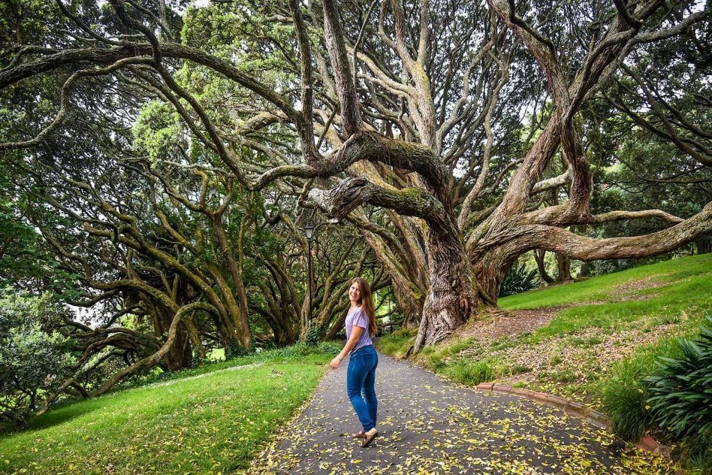 Auckland New Zealand