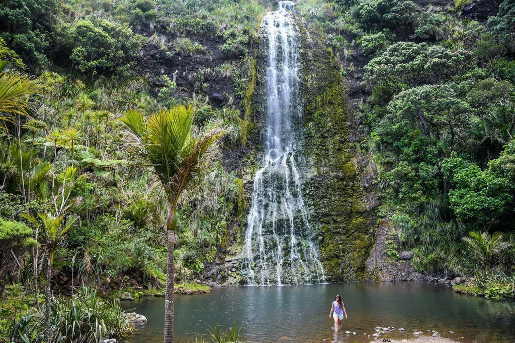 Karekere Waterfall New Zealand
