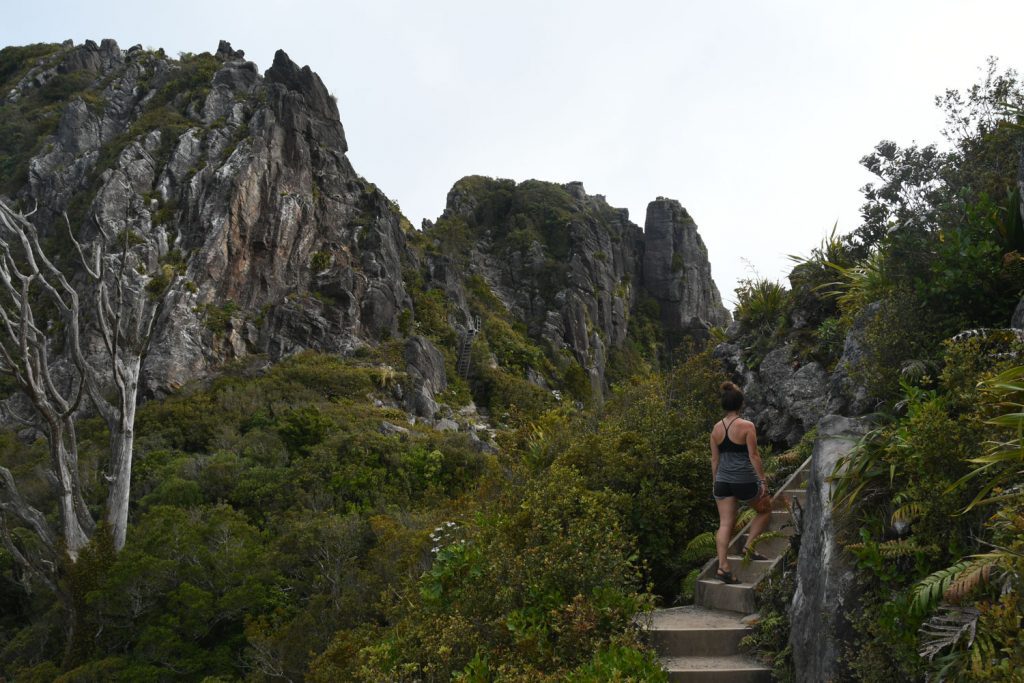 Hike to Pinnacles Hut North Island New Zealand