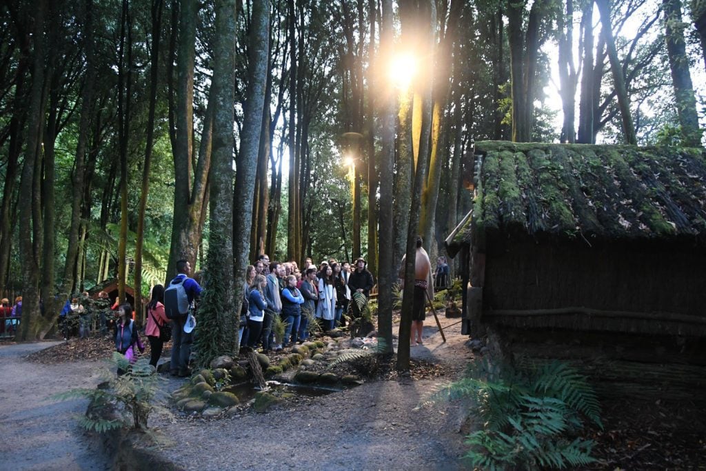 Tamaki Maori Village cultural tour