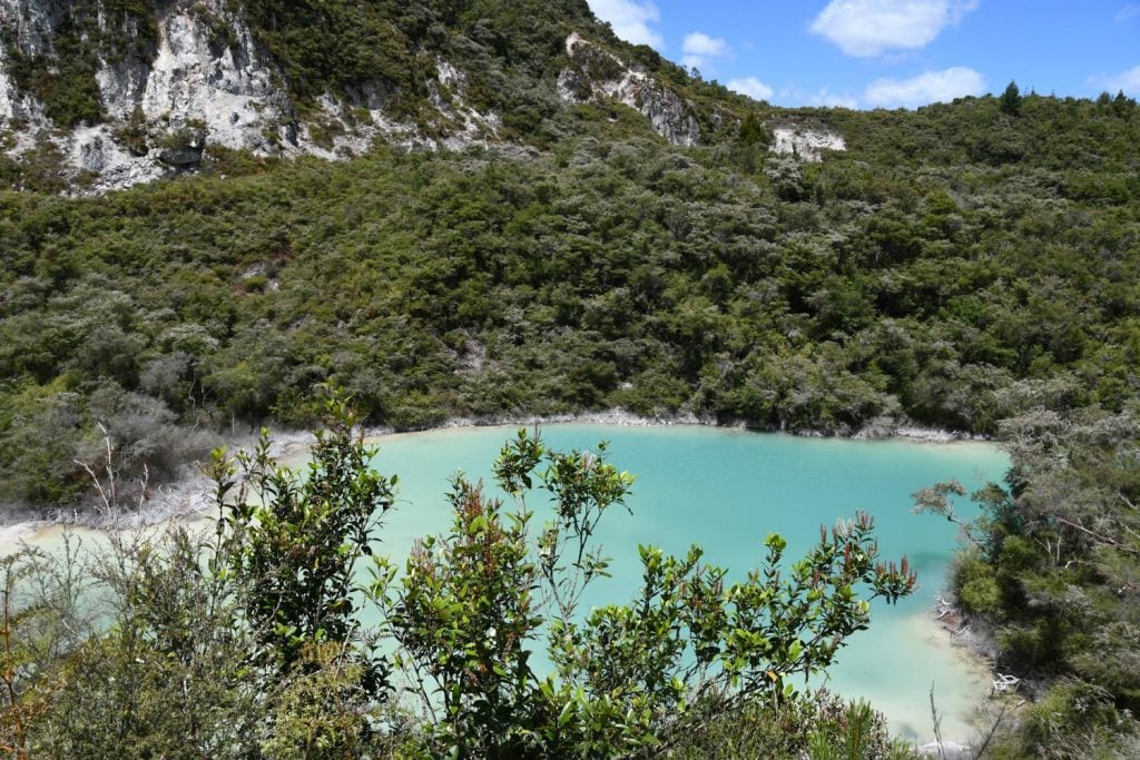 Rainbow Mountain Track North Island New Zealand