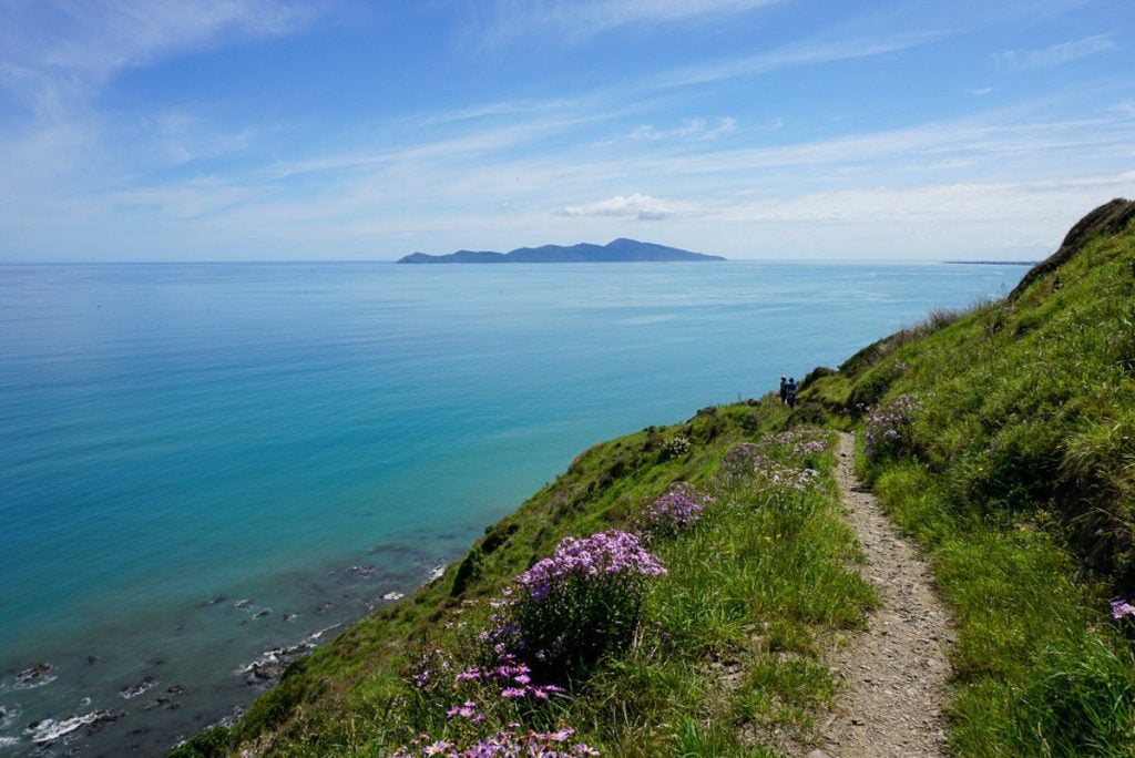 Paekakariki Escarpment Track New Zealand