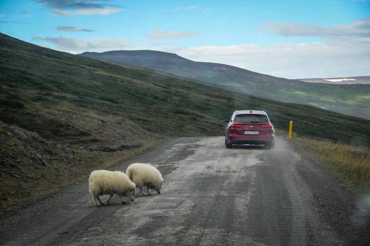 Iceland Car Rental Tips