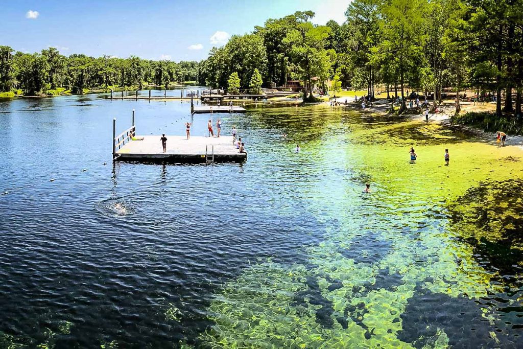 Wakulla Springs Florida Gulf Coast Travlinmad