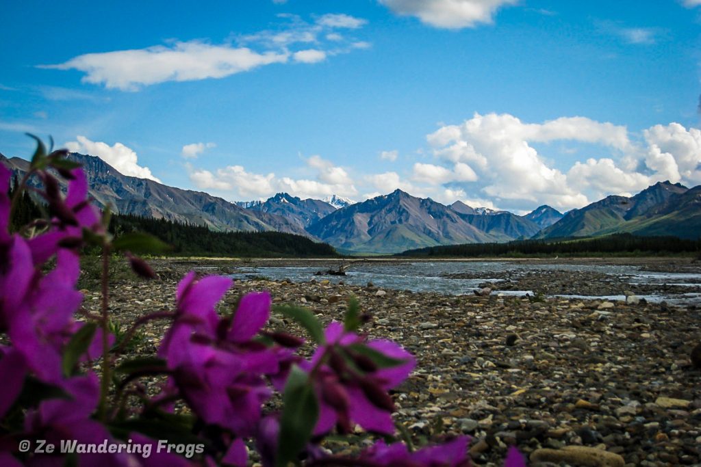 Denali National Park Alaska