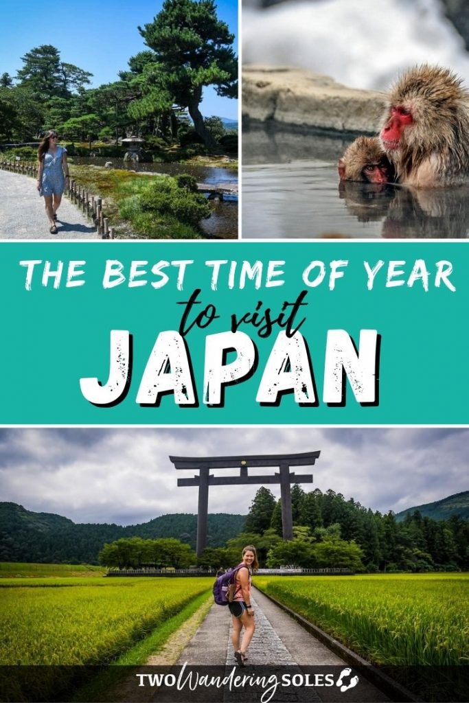 Travel Japan: Best Time to Visit Tokyo Throughout the Year