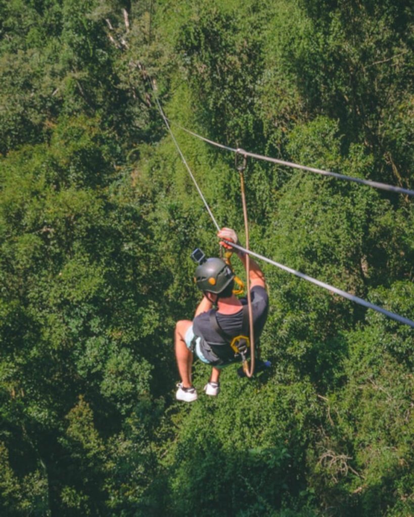 Cape Town Canopy Tour (Canopy Tours)