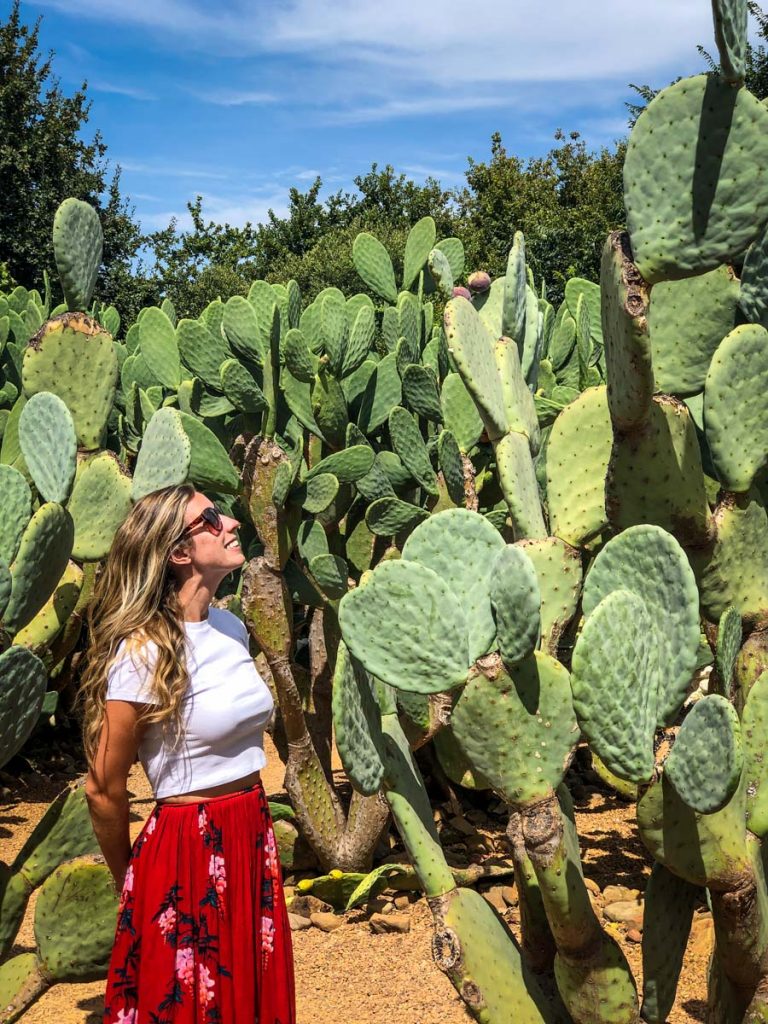 Babylonstoren Gardens