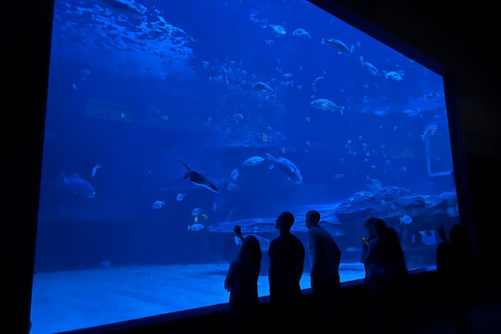 Two Oceans Aquarium Cape Town